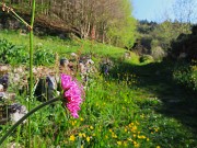 PIZZO di SPINO ad anello con croce di bracca da Pregaroldi di Bracca-8apr26  - FOTOGALLERY